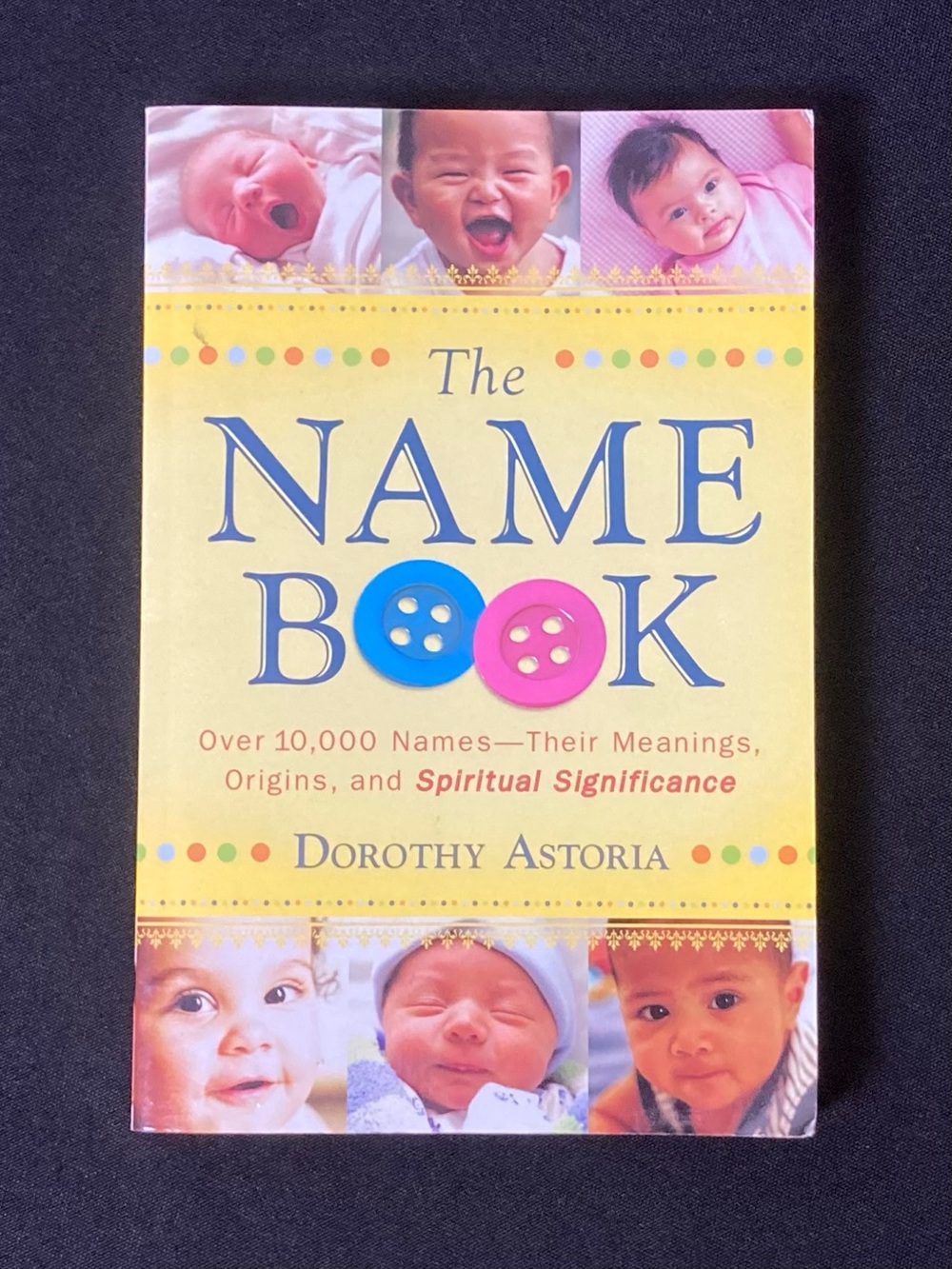 The Name Book by Dorothy Astoria Paperback